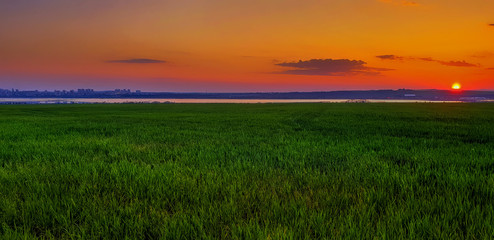 sunset over the field