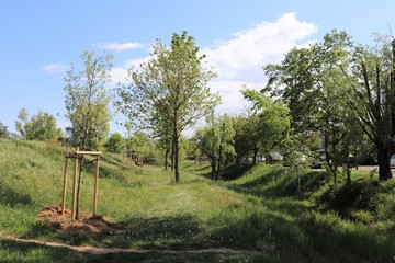 Le parc Bourlione à Corbas, grand espace vert - Ville de Corbas - Département du Rhône - France