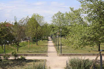 Fototapeta na wymiar Le parc Bourlione à Corbas, grand espace vert - Ville de Corbas - Département du Rhône - France