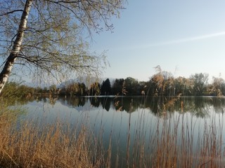 Spiegelung im See