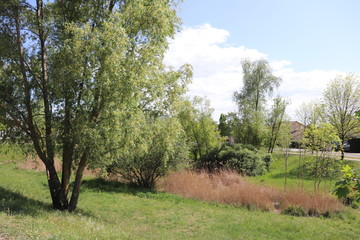 Le parc Bourlione à Corbas, grand espace vert - Ville de Corbas - Département du Rhône - France