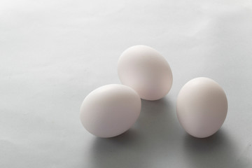 egg