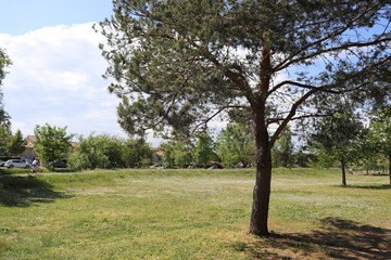 Le parc Bourlione à Corbas, grand espace vert - Ville de Corbas - Département du Rhône - France