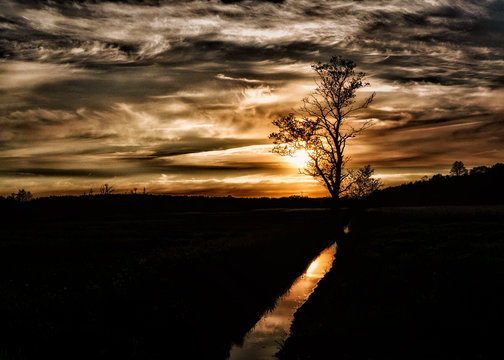 Sylwetki drzew podczas zachodu słońca © Krzysztof