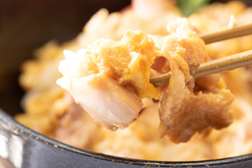 Oyakodon