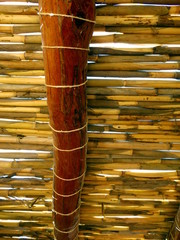 detail of roof beam with tied bamboo