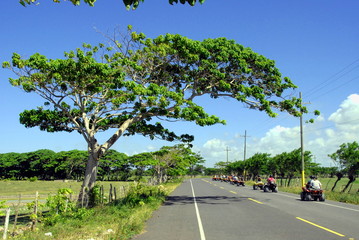 tourists drive in a row on quad bikes in the country road