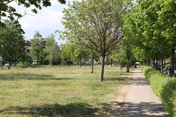 Le parc Bourlione à Corbas, grand espace vert - Ville de Corbas - Département du Rhône - France