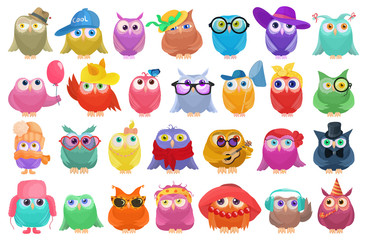 Fototapeta premium Owl vector cartoon set icon. Isolated cartoon set icon funny bird. Vector illustration owl on white background.