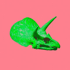 Contemporary art collage. Dinosaur skull. Minimal