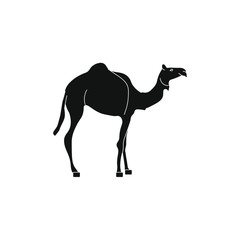 dromedary animal, illustration for web and mobile design.