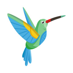 Obraz premium Vector illustration of hummingbird and bird icon. Set of hummingbird and flying stock symbol for web.