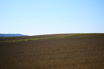 Acker im Frühling