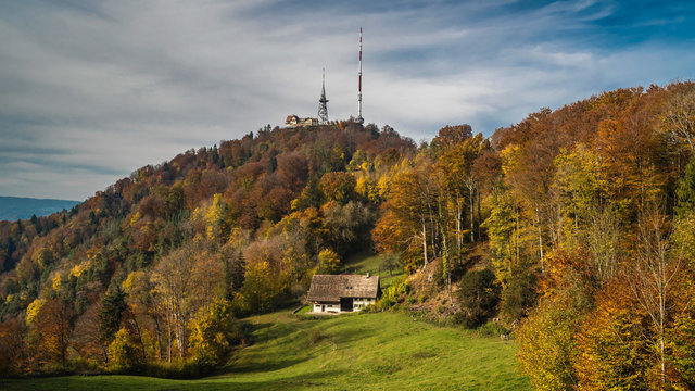 Autumn forests of Uetliberg in Zurich Switzerland
