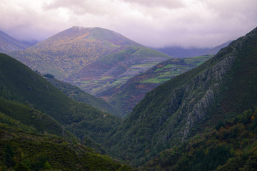 Wooded Mountains under a Cloudy Sky