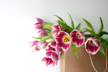 Pink white fresh tulips in paper bag, copy space, fresh flowers, gift. Botanical.