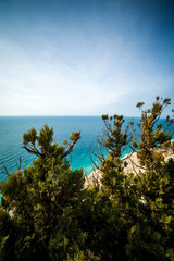 Sea holiday among the trees