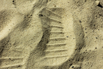 On sand. Sand. Summer. Sand beach