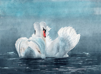 Watercolor illustration of two white swans on the misty blue lake © Мария Тарасова