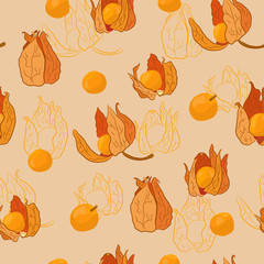 Physalis colored pattern3