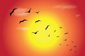 Vector silhouette of flying birds at sunset. Symbol of nature.