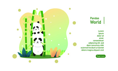 Cute Pandas landing page banner template