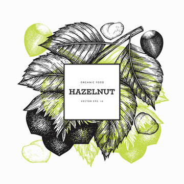 hazelnut; nut; vector; illustration; hand; drawn; sketch; retro; vintage; design; template; banner; cover; frame; logo; label; background; backdrop; food; hazel; vegetarian; nature; organic; seed; nat