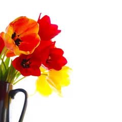 Foto op Plexiglas fresh tulips © Norbert