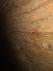 Wood,Textures, Colors