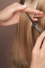 Hairdresser cuts long blonde hair with scissors. Hair salon, hairstylist. Care and beauty hair...