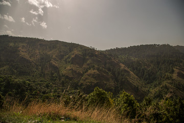 Mountains covered with trees in Islamabad, Pakistan