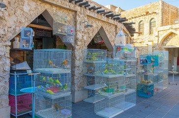 Numerous cages with wide variety of birds, making a big noise in covered galley of Birds Market of...