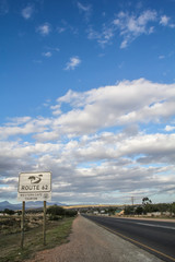 The road trip from Capetown to Durban is called the Garden Route