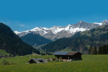 house and farm in snow mountain view on spring season