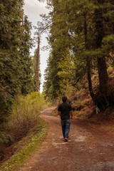 Man walking in the woods