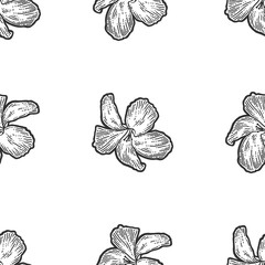 Fototapeta premium Seamless flowers hibiscus, bouquet. Scratch board imitation. Black and white hand drawn image.