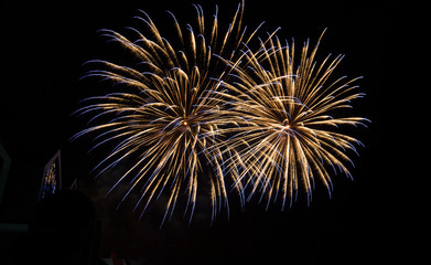 Celebratory fireworks against the dark night sky