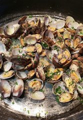 fresh clams cooked in a pan