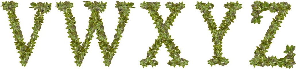 English alphabet from young leaves of apple tree leaves. Concept for design.