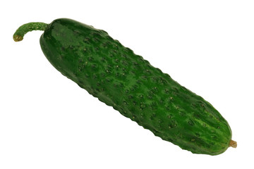 Cucumber isolated on a white background. Close-up. Top view.