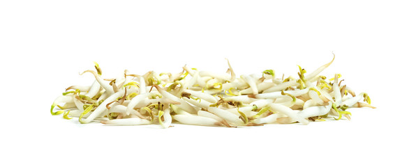 Bean Sprouts isolated on white background