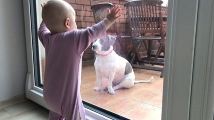Baby Near The Window Waiting To Go For A Walk With A Dog. Children In Coronavirus Quarantine.