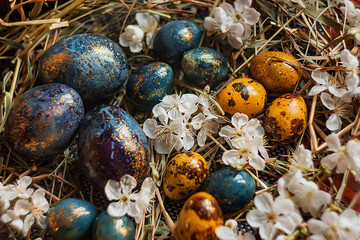 colourfull easter eggs in a nest