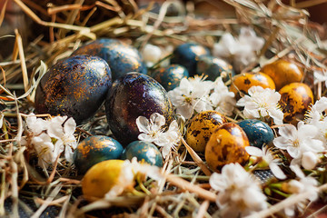 colourfull easter eggs and flowers