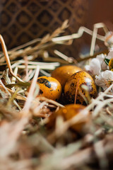 nest with yellow easter eggs close up