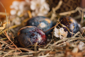 close up photo of blue, purple adn golden easter eggs 