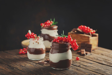 dessert with white and dark chocolate cream