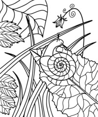 Snail on a leaf vector illustration on a white background, color book line art