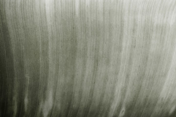 Leaf texture background