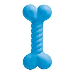 blue plastic dog bone toy